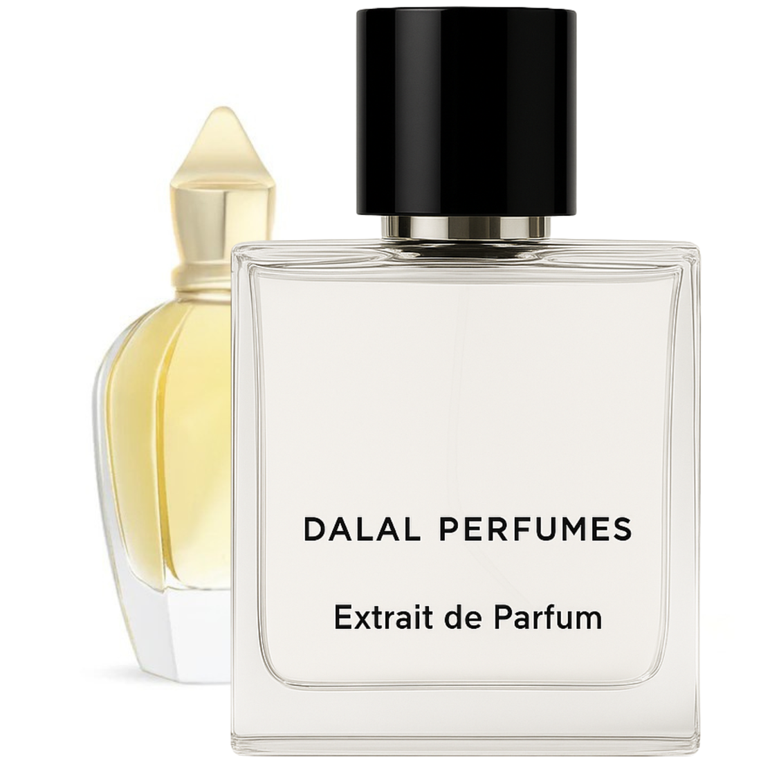 Xerjoff Naxos Duftzwilling / Dupe – die beste Alternative (2026)