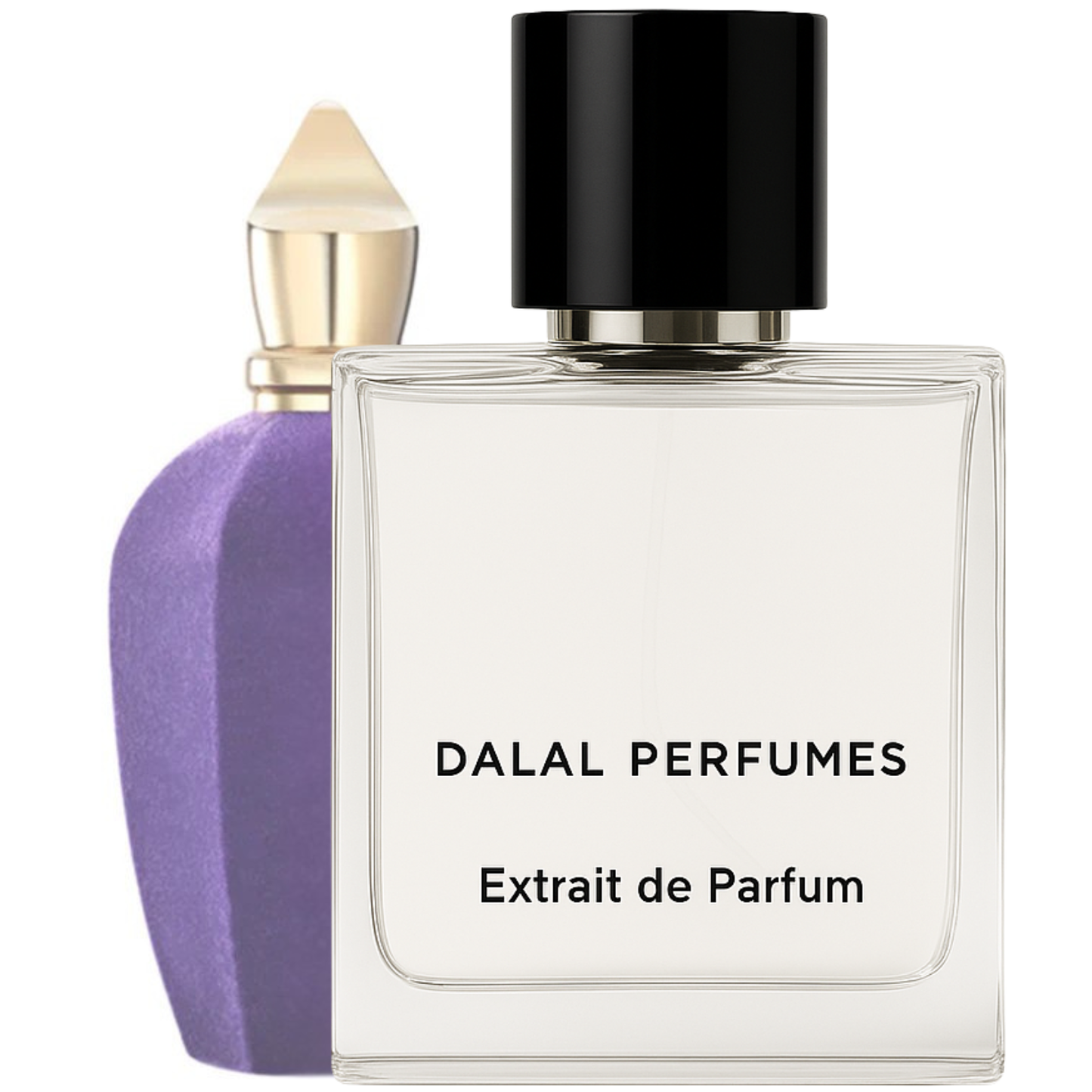 Xerjoff Accento Duftzwilling-Parfum Dupe